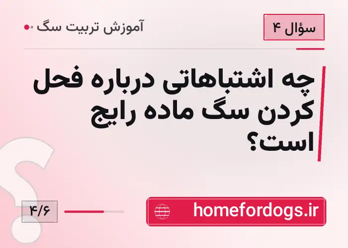 چه اشتباهاتی درباره فحل کردن سگ ماده رایج است؟