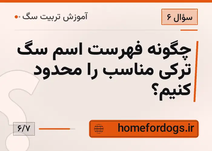 چگونه فهرست اسم سگ ترکی مناسب را محدود کنیم؟
