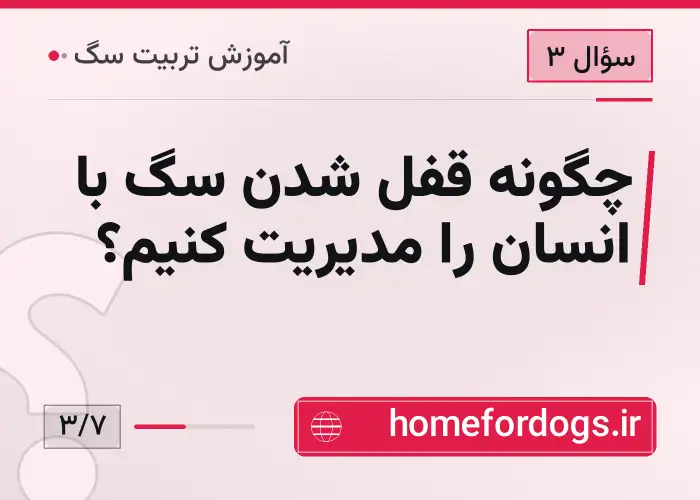 چگونه قفل شدن سگ با انسان را مدیریت کنیم؟