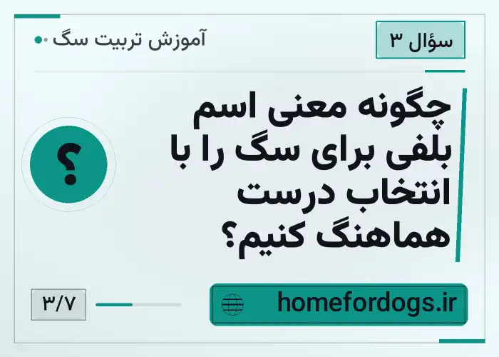 چگونه معنی اسم بلفی برای سگ را با انتخاب درست هماهنگ کنیم؟