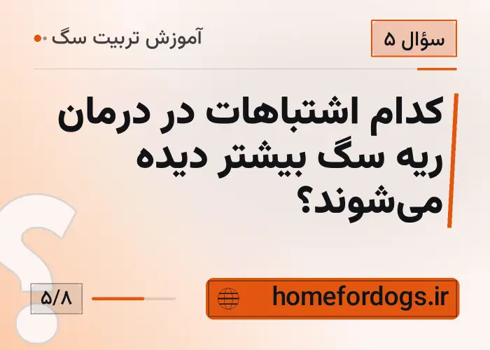 کدام اشتباهات در درمان ریه سگ بیشتر دیده می‌شوند؟