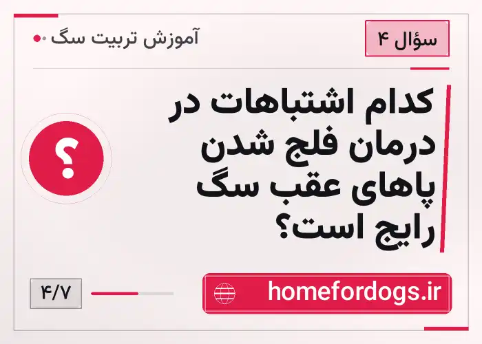کدام اشتباهات در درمان فلج شدن پاهای عقب سگ رایج است؟