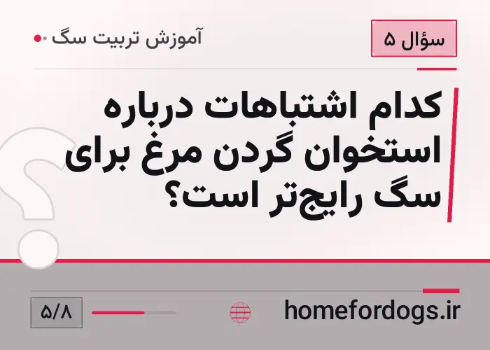 کدام اشتباهات درباره استخوان گردن مرغ برای سگ رایج‌تر است؟