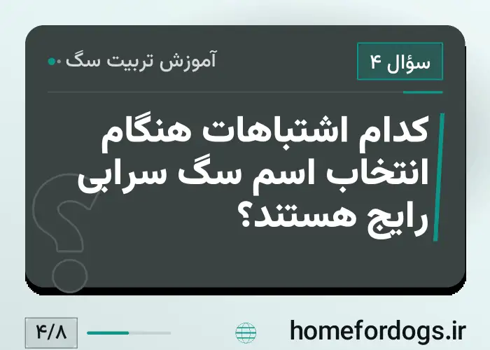 کدام اشتباهات هنگام انتخاب اسم سگ سرابی رایج هستند؟
