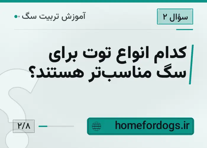 کدام انواع توت برای سگ مناسب‌تر هستند؟
