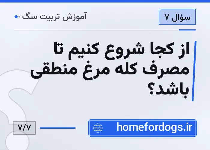 از کجا شروع کنیم تا مصرف کله مرغ منطقی باشد؟