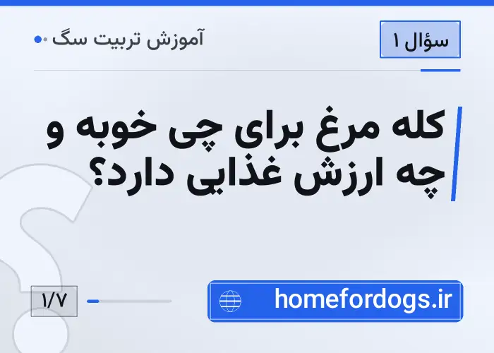 کله مرغ برای چی خوبه و چه ارزش غذایی دارد؟