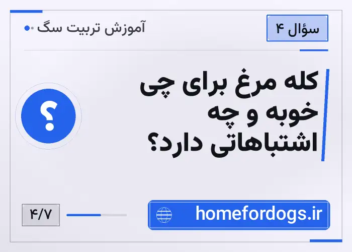 کله مرغ برای چی خوبه و چه اشتباهاتی دارد؟