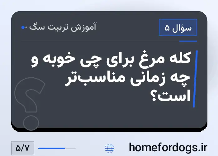کله مرغ برای چی خوبه و چه زمانی مناسب‌تر است؟