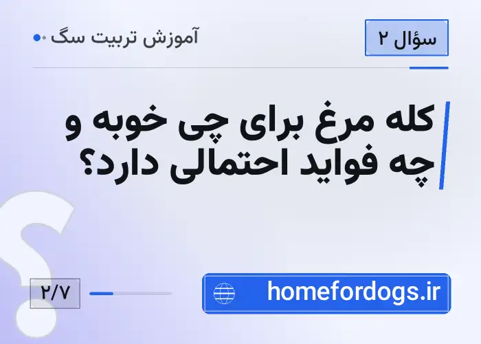 کله مرغ برای چی خوبه و چه فواید احتمالی دارد؟