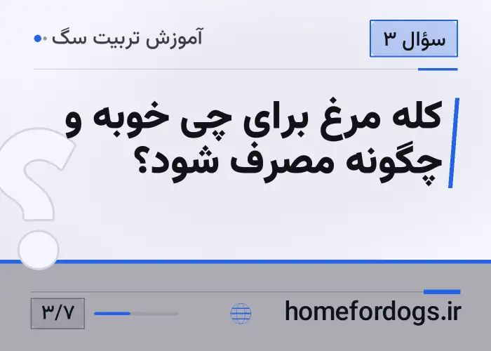 کله مرغ برای چی خوبه و چگونه مصرف شود؟