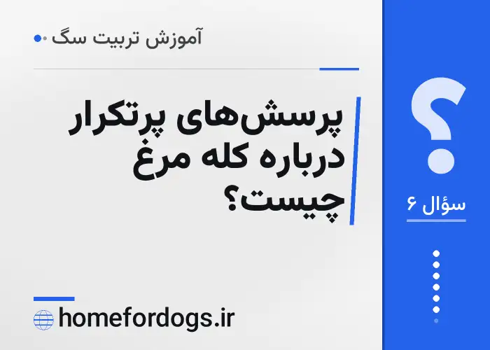 پرسش‌های پرتکرار درباره کله مرغ چیست؟