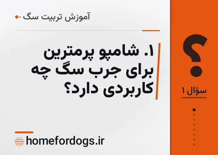 ۱. شامپو پرمترین برای جرب سگ چه کاربردی دارد؟