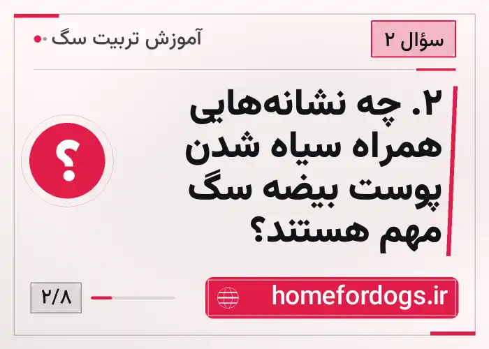 ۲. چه نشانه‌هایی همراه سیاه شدن پوست بیضه سگ مهم هستند؟