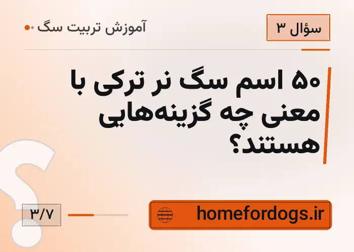 ۵۰ اسم سگ نر ترکی با معنی چه گزینه‌هایی هستند؟