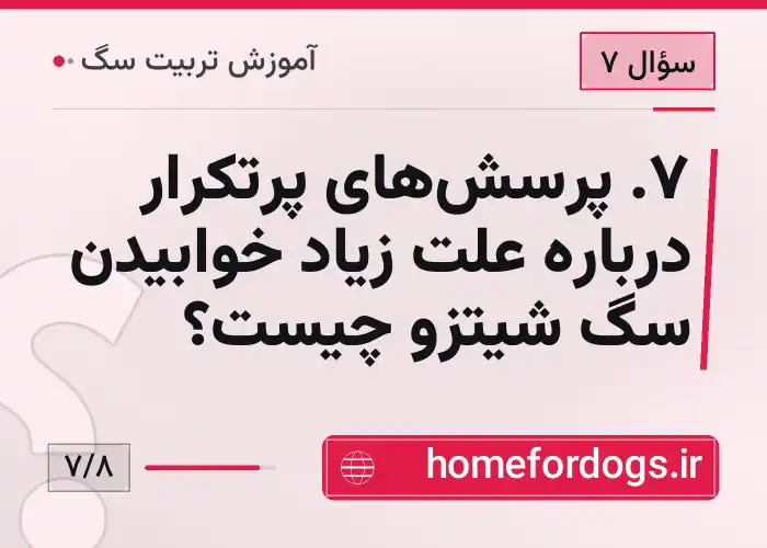 ۷. پرسش‌های پرتکرار درباره علت زیاد خوابیدن سگ شیتزو چیست؟