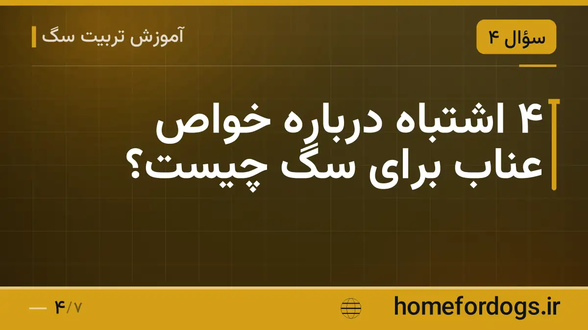 ۴ اشتباه درباره خواص عناب برای سگ چیست؟