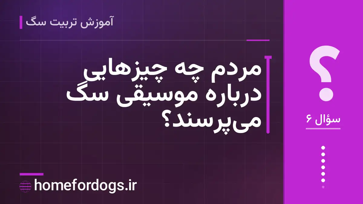 مردم چه چیزهایی درباره موسیقی سگ می‌پرسند؟