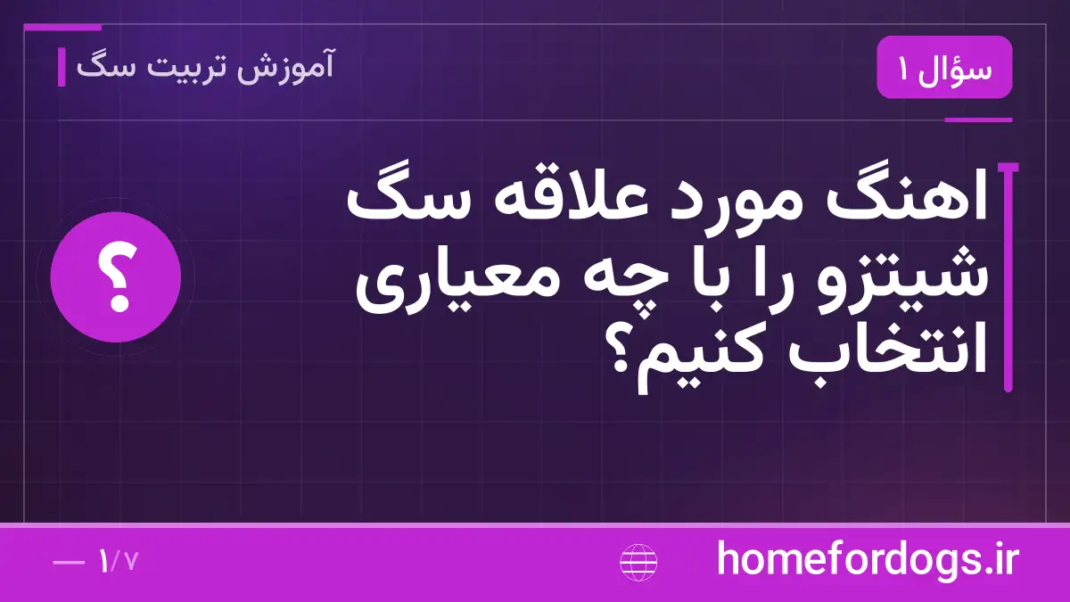 اهنگ مورد علاقه سگ شیتزو را با چه معیاری انتخاب کنیم؟