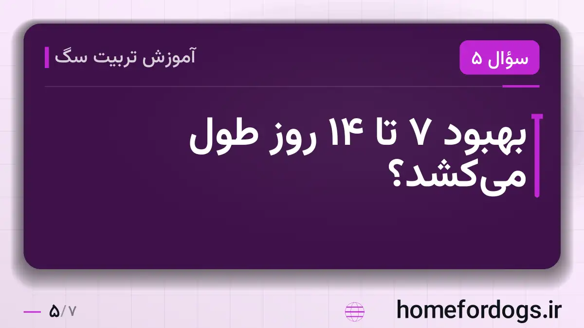 بهبود ۷ تا ۱۴ روز طول می‌کشد؟