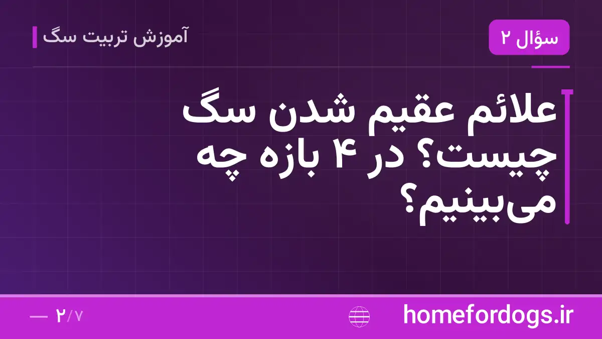 علائم عقیم شدن سگ چیست؟ در ۴ بازه چه می‌بینیم؟