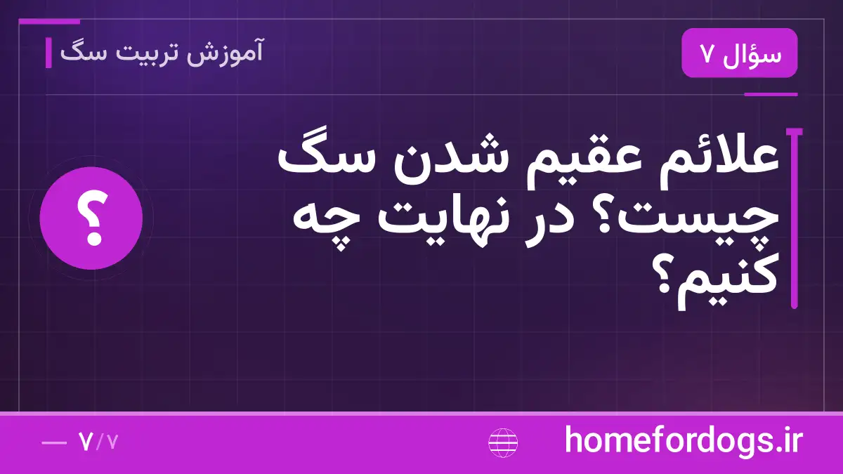 علائم عقیم شدن سگ چیست؟ در نهایت چه کنیم؟