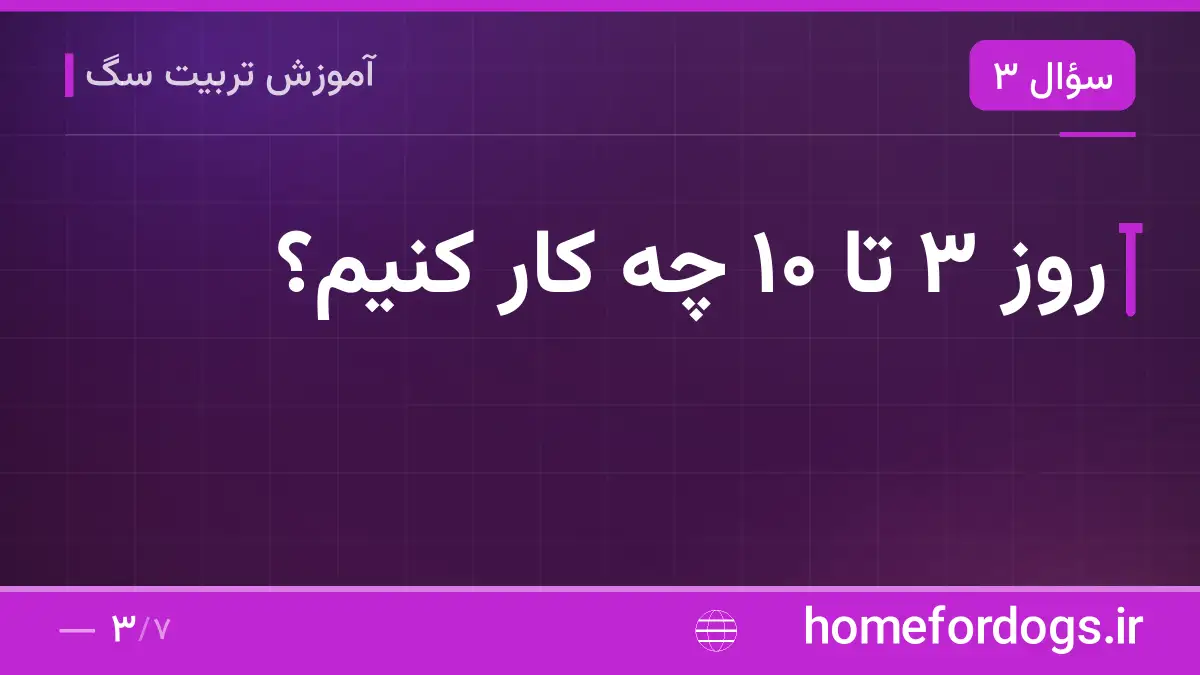 روز ۳ تا ۱۰ چه کار کنیم؟
