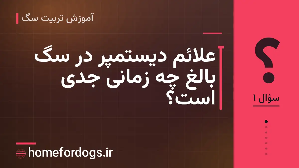 علائم دیستمپر در سگ بالغ چه زمانی جدی است؟