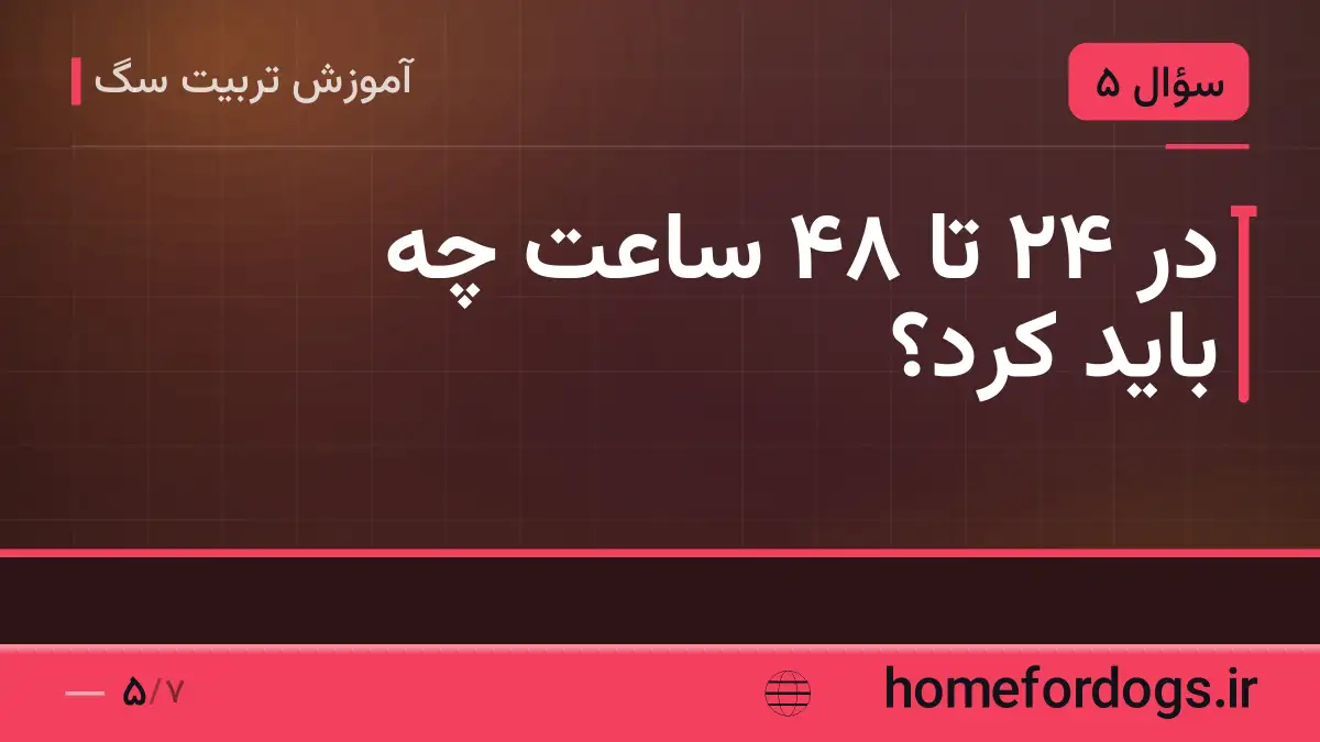 در ۲۴ تا ۴۸ ساعت چه باید کرد؟