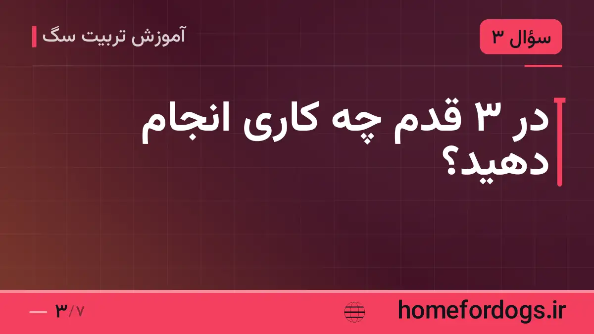 در ۳ قدم چه کاری انجام دهید؟