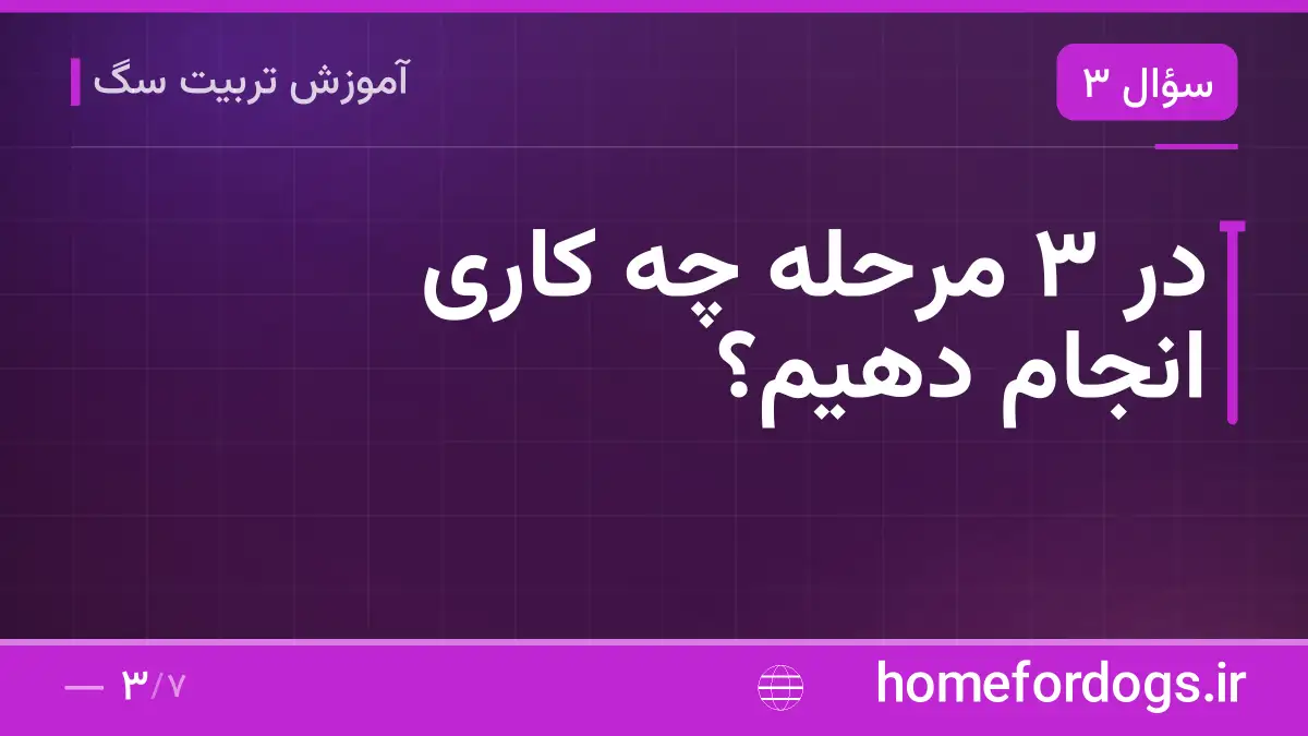 در ۳ مرحله چه کاری انجام دهیم؟