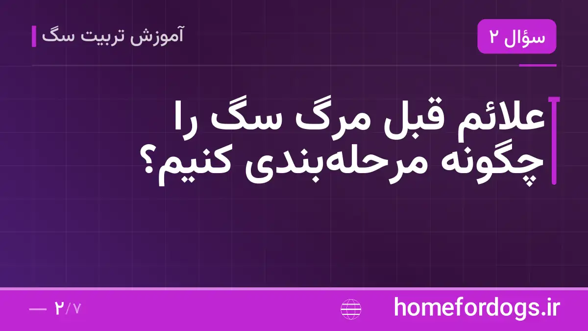 علائم قبل مرگ سگ را چگونه مرحله‌بندی کنیم؟