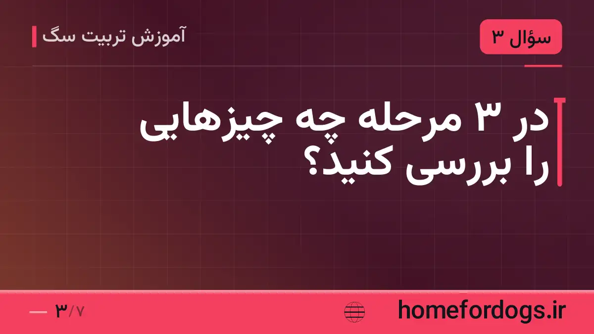 در ۳ مرحله چه چیزهایی را بررسی کنید؟
