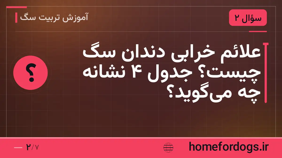 علائم خرابی دندان سگ چیست؟ جدول ۴ نشانه چه می‌گوید؟