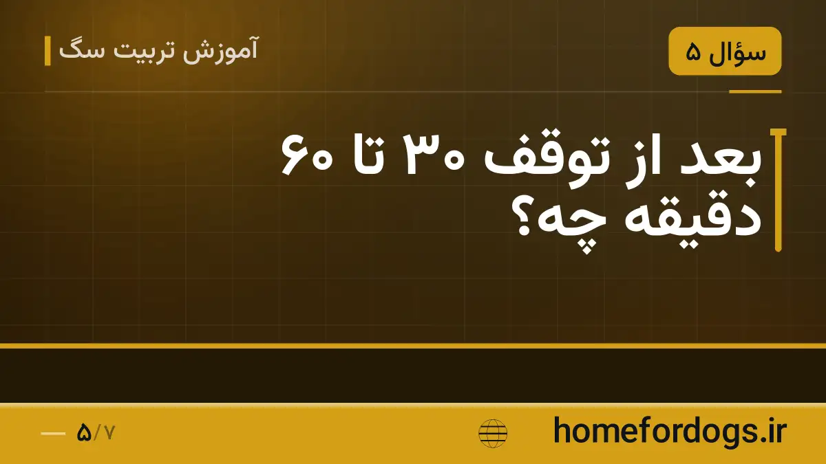 بعد از توقف ۳۰ تا ۶۰ دقیقه چه؟