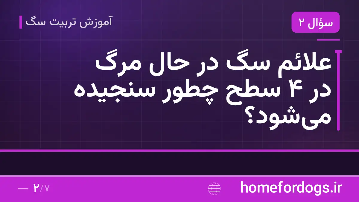 علائم سگ در حال مرگ در ۴ سطح چطور سنجیده می‌شود؟