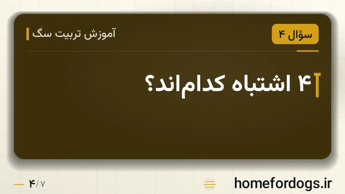 ۴ اشتباه کداماند؟