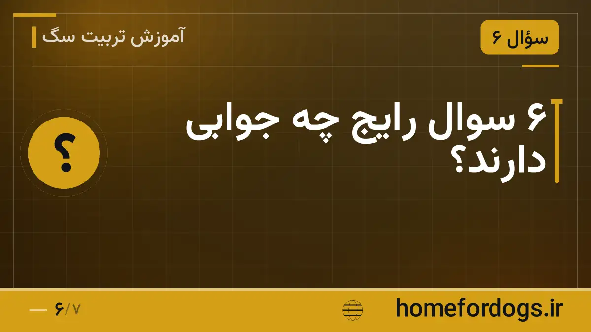 ۶ سوال رایج چه جوابی دارند؟