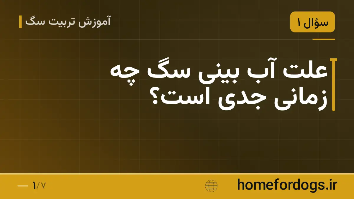 علت آب بینی سگ چه زمانی جدی است؟