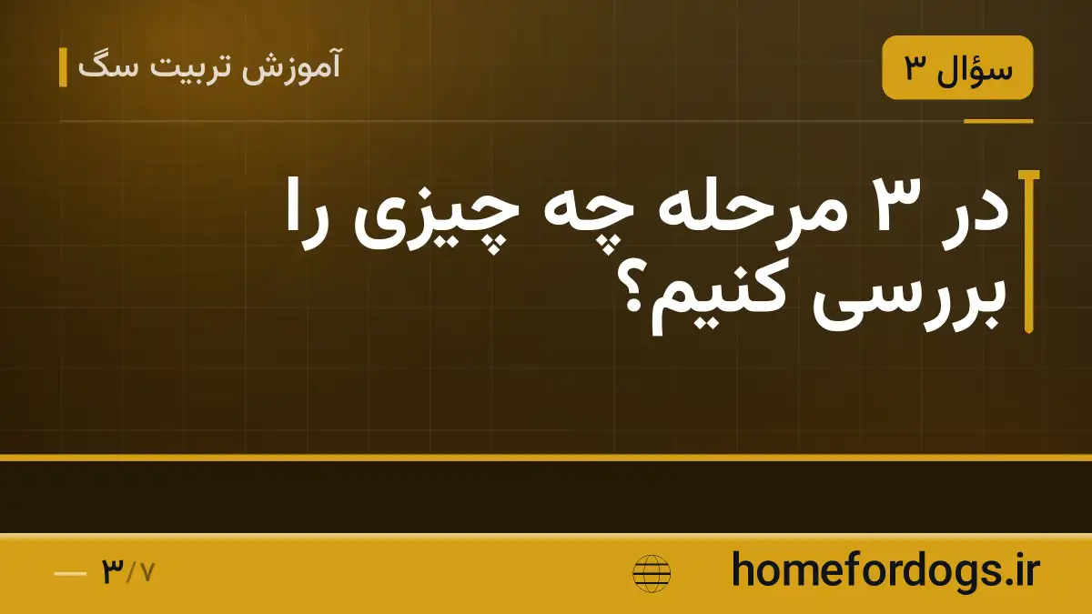 در ۳ مرحله چه چیزی را بررسی کنیم؟