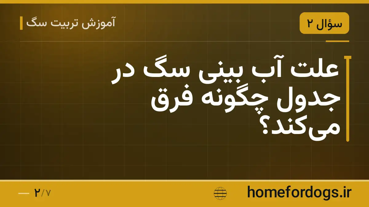 علت آب بینی سگ در جدول چگونه فرق میکند؟