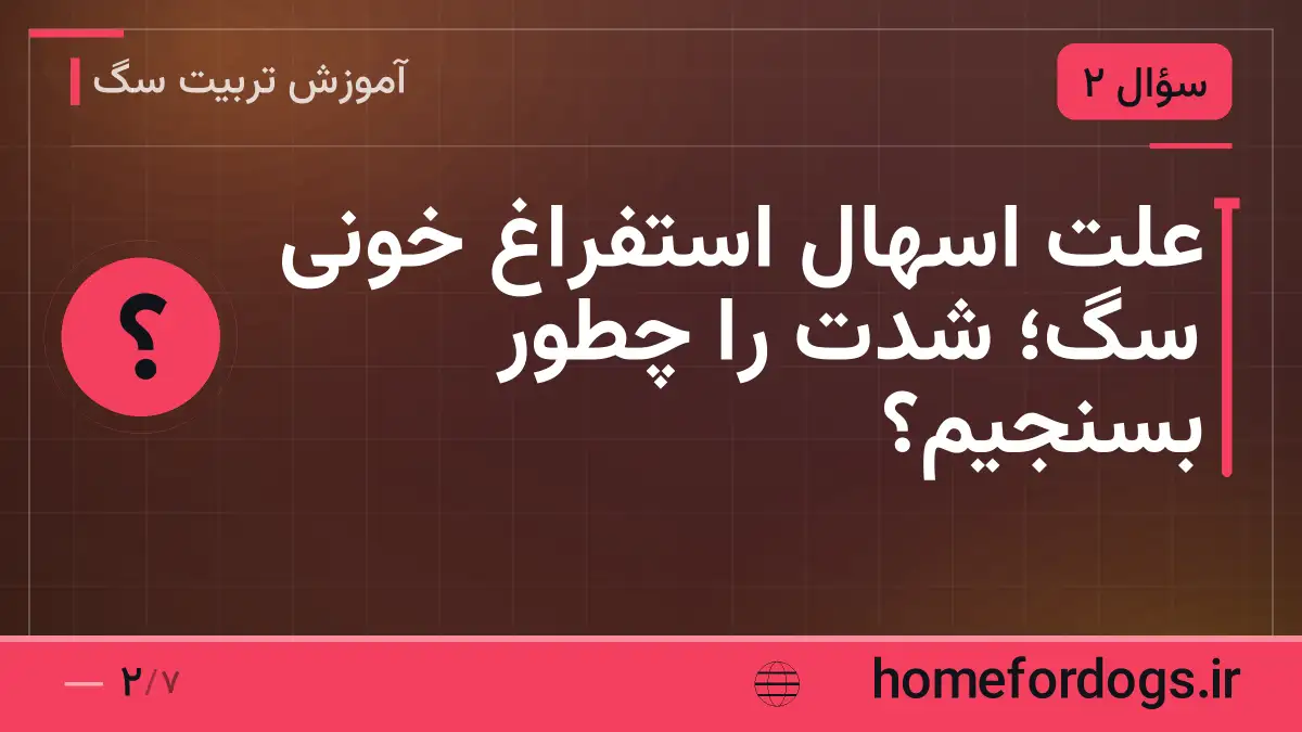 علت اسهال استفراغ خونی سگ؛ شدت را چطور بسنجیم؟