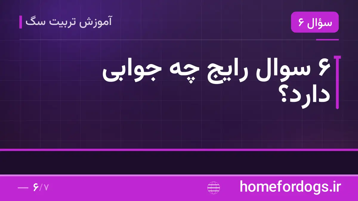 ۶ سوال رایج چه جوابی دارد؟