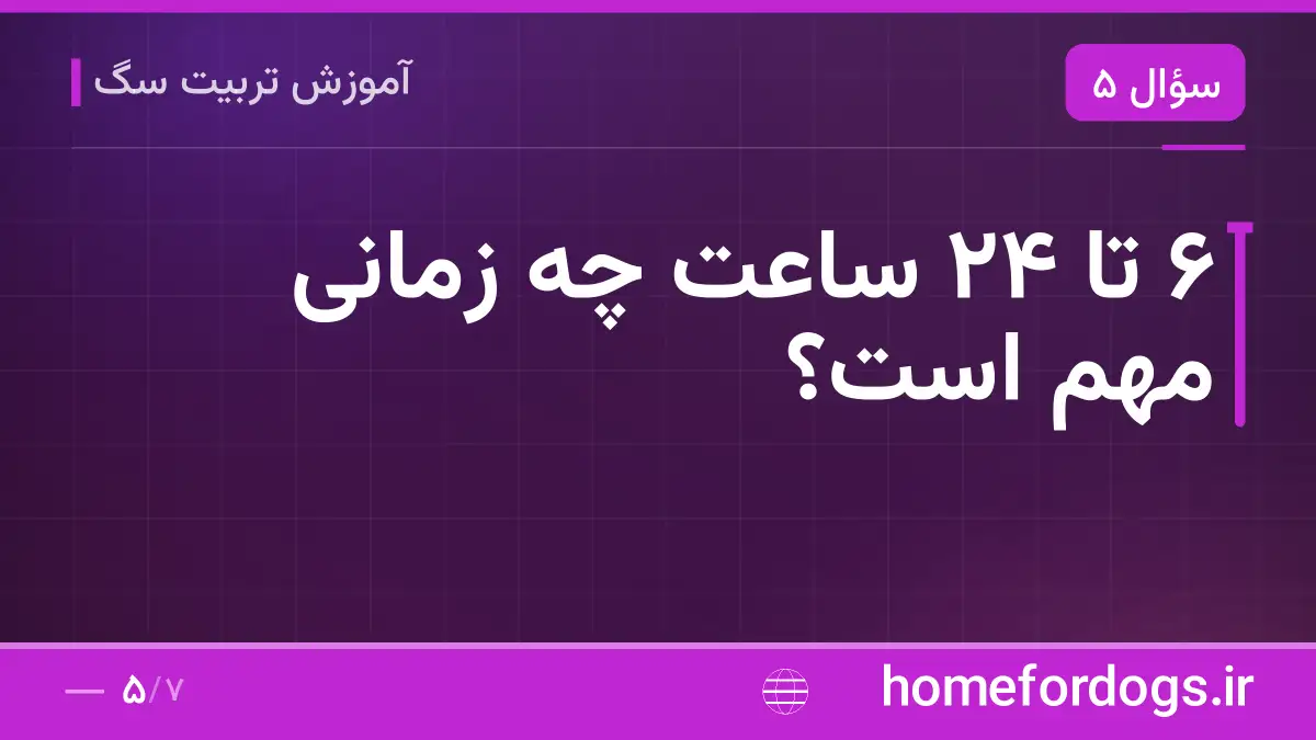 ۶ تا ۲۴ ساعت چه زمانی مهم است؟