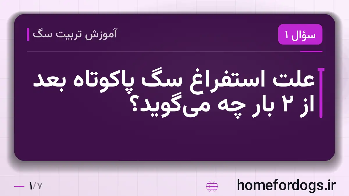 علت استفراغ سگ پاکوتاه بعد از ۲ بار چه میگوید؟