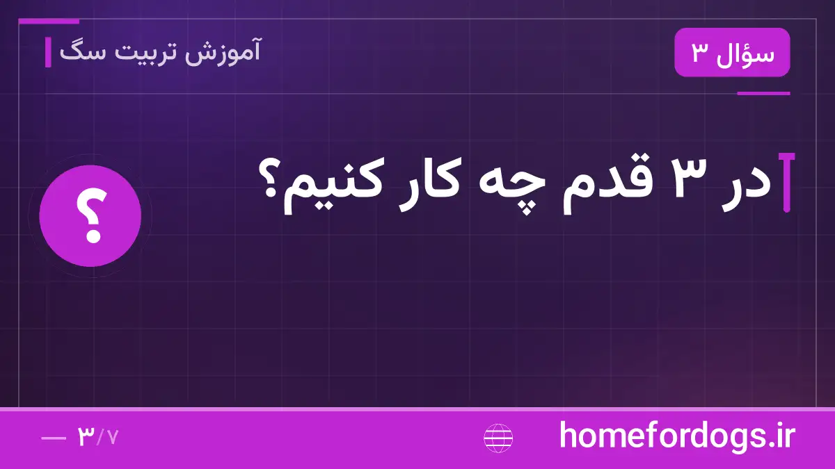 در ۳ قدم چه کار کنیم؟