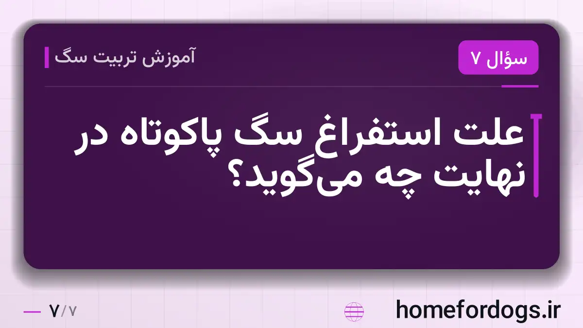 علت استفراغ سگ پاکوتاه در نهایت چه میگوید؟