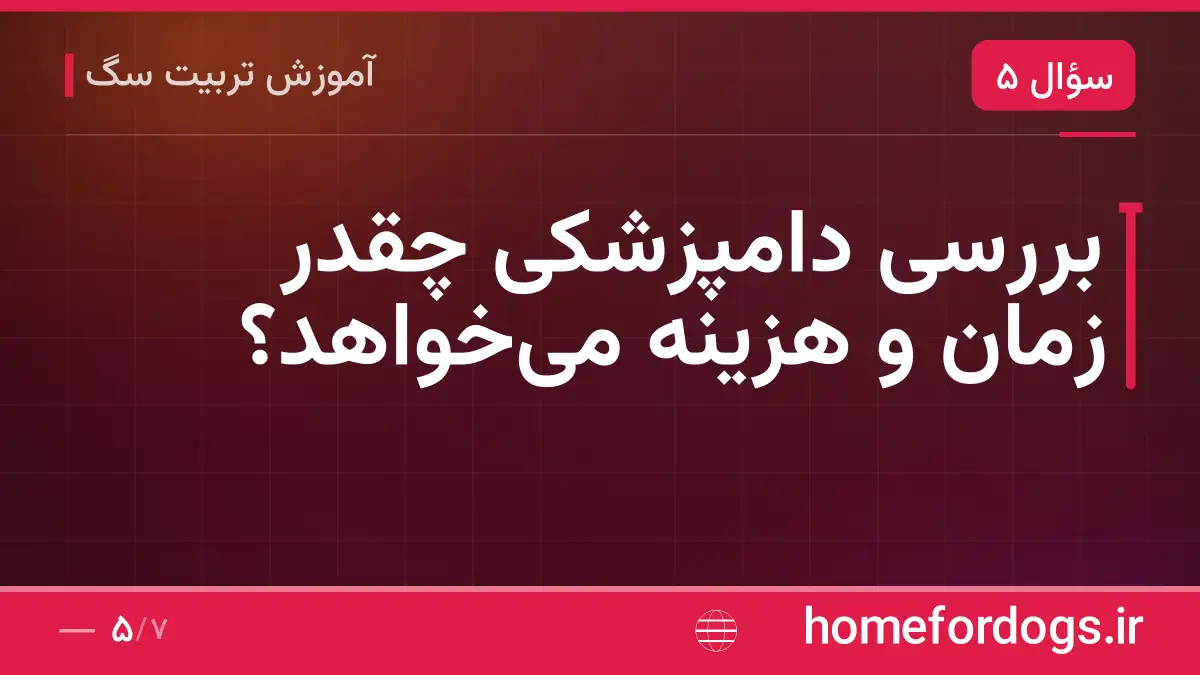 بررسی دامپزشکی چقدر زمان و هزینه میخواهد؟