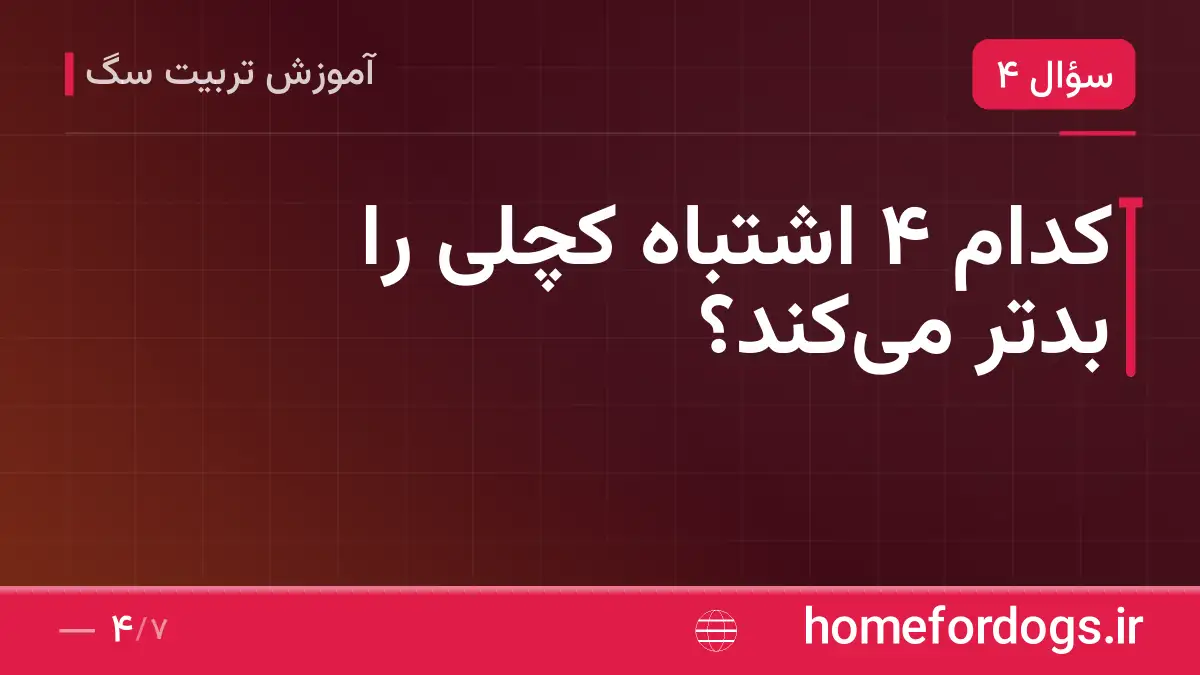 کدام ۴ اشتباه کچلی را بدتر میکند؟