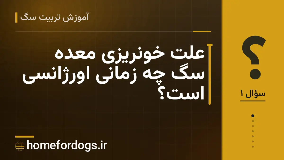 علت خونریزی معده سگ چه زمانی اورژانسی است؟